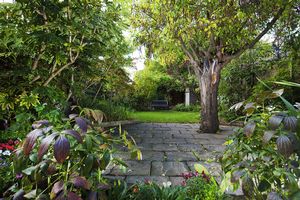 Photo 12- click for photo gallery